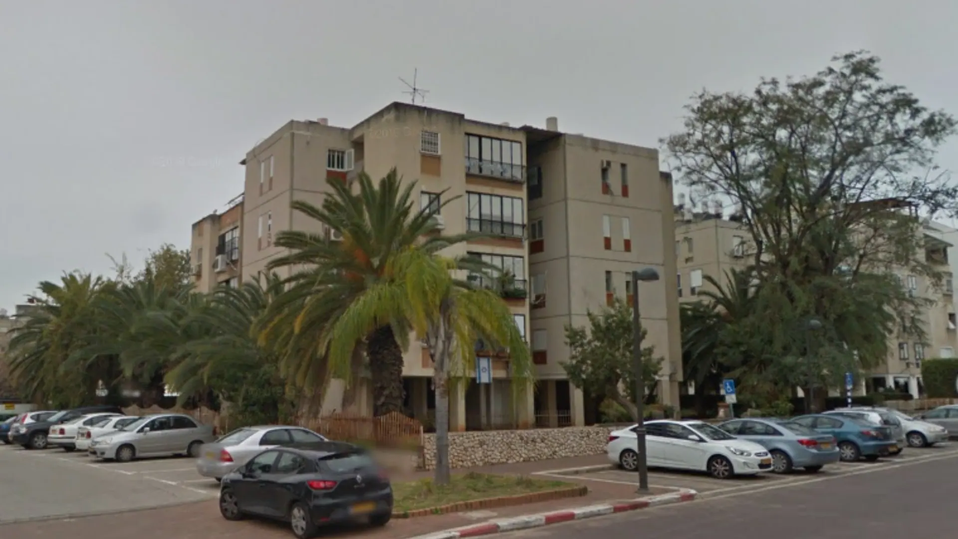 פרויקטים (11)